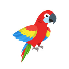 Parrot: The Colorful Birds of the Tropics