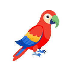 Parrot: The Colorful Birds of the Tropics