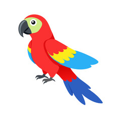 Parrot: The Colorful Birds of the Tropics
