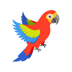 Parrot: The Colorful Birds of the Tropics