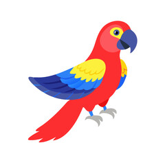 Parrot: The Colorful Birds of the Tropics