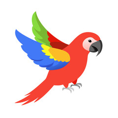 Parrot: The Colorful Birds of the Tropics