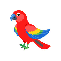 Parrot: The Colorful Birds of the Tropics