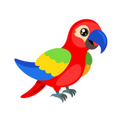 Parrot: The Colorful Birds of the Tropics
