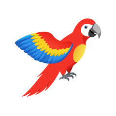 Parrot: The Colorful Birds of the Tropics
