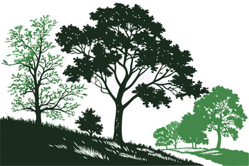 Fototapeta premium 4 Photorealistic tree line, lush green foliage, diverse tree species, natural landscape border, white background, high-resolution vector graphic, detailed botanical illustration, summer season, vibran