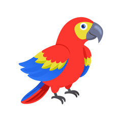 Parrot: The Colorful Birds of the Tropics