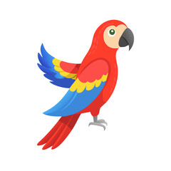 Parrot: The Colorful Birds of the Tropics
