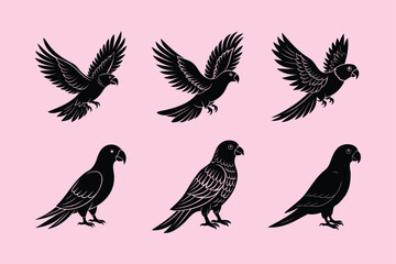 Eclectus Parrot bird, silhouette vector illustration