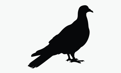 Pigeon silhouette, bird icon, vector illustration