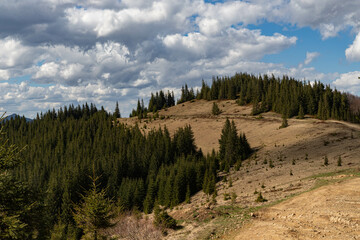 the top of the mountain range is covered with trees in some places