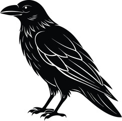 Fototapeta premium Black Raven Illustration Clipart - Gothic Crow Silhouette Vector Art