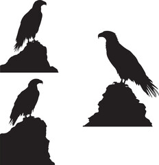 Eagle Perched on a Rock silhouette