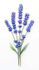 Naklejka premium Delicate Lavender Sprig Vintage Garden Floral Art Natural Environment Close-Up Vintage Flower Inspiration