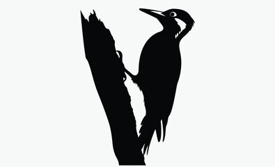 Woodpecker silhouette, bird icon, woodpecker silhouette illustration isolated on a white background, 