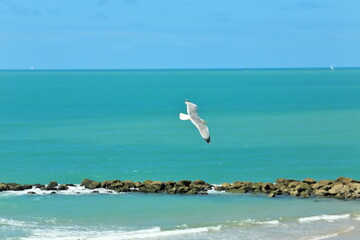 Flight Over Green Waters