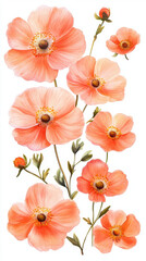 Capture Vintage Flower Essence Floral Arrangement Isolated on White Background Nature Photography Artistic Viewpoint