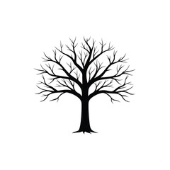 Fototapeta premium Leafless Symmetrical Tree Illustration in High Contrast Botanical Style.