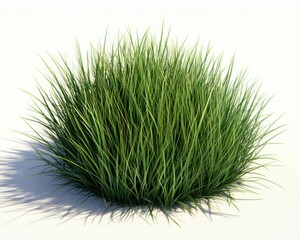 Green grassy tuft