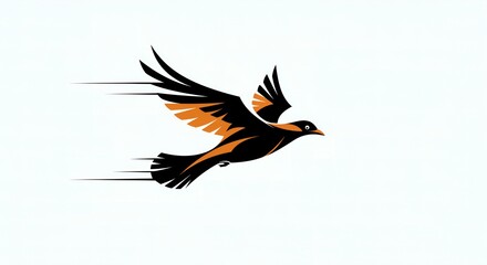 Fototapeta premium eagle in the sky