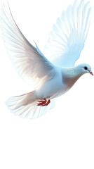 Obraz premium White Dove In Flight Against Transparent Background Photo