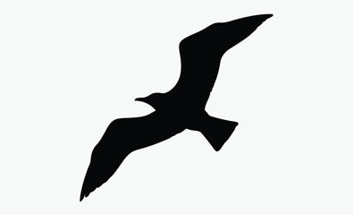 Seagull flying silhouette, bird vector, isolated design, Seagull flying silhouette isolated on white background, Vector illustration 
