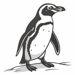 Monochrome Vector Illustration Of An African Penguin Standing On A Rock