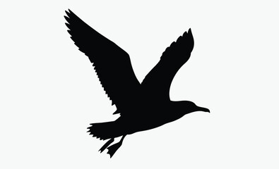 Seagull flying silhouette, bird vector, isolated design, Seagull flying silhouette isolated on white background, Vector illustration 