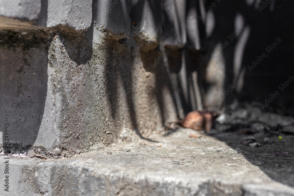 Poster abstract concrete empty place with leaves shadows and sunlight