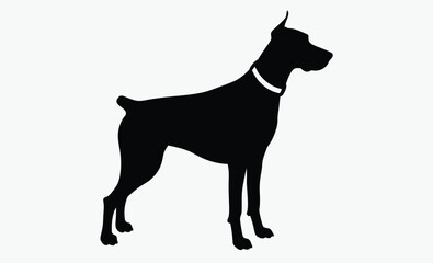 Doberman dog silhouette, Doberman dog isolated realistic vector illustration black silhouette