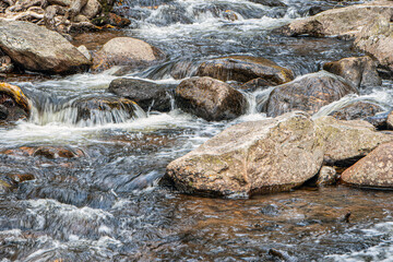 view of  willard brook on a spring day