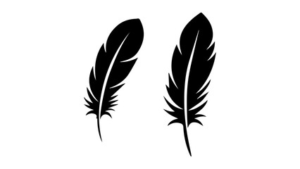 Obraz premium two feather shapes isolated on white background