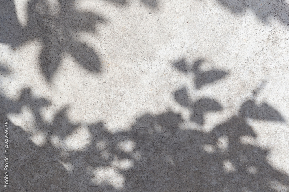 Poster Empty wall surface with leaves shadows and sunlight. Cozy top view empty copy space close up concrete table surface mock up background for text and design. Wall with shadows. Abstract wall background