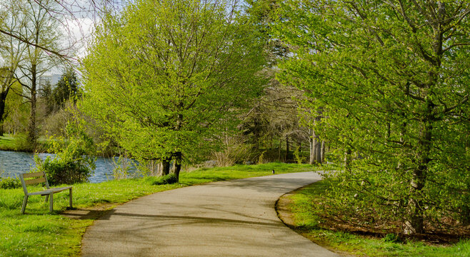 All&eacute;e pi&eacute;tonne dans un parc verdoyant au printemps
