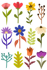 Colorful flower arrangements with a variety of leaves and petals 