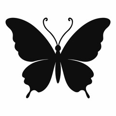 butterfly vector illustration