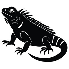 green iguana vector