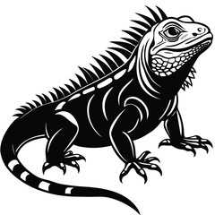 green iguana vector
