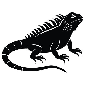 black iguana reptile silhouette on white clip art preview
