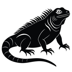 green iguana vector