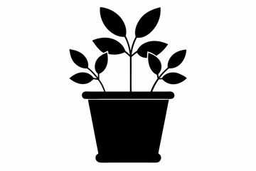 Plant Pot Black and White Silhouette Vector Illustration