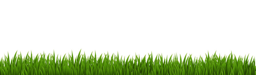 Green Grass And Isolated White Background