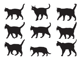 Silhouette of a cat walking vector