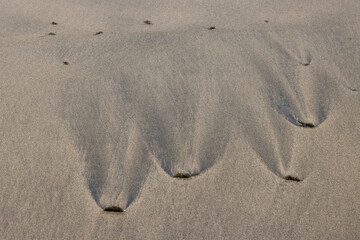 Sand on the Atlantic ocean beach, Spain