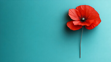 Obraz premium Red flower is on a blue background