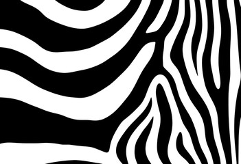 Abstract black and white zebra stripe pattern vector background design , zebra, graphic