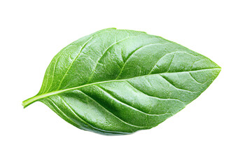 Obraz premium A vibrant basil leaf, showcasing its rich green hue and delicate veins, a symbol of freshness and culinary delight against a clean white background.