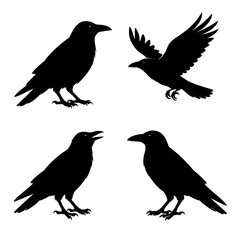 Crow Silhouettes Vector Set