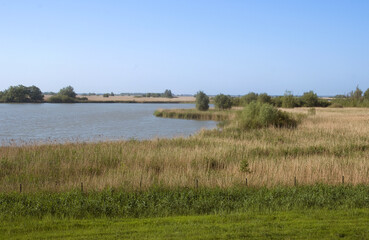 Réserve naturelle Oostvaardersplassen, Pays Bas