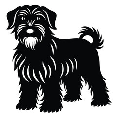 black rssina terrier vector dog